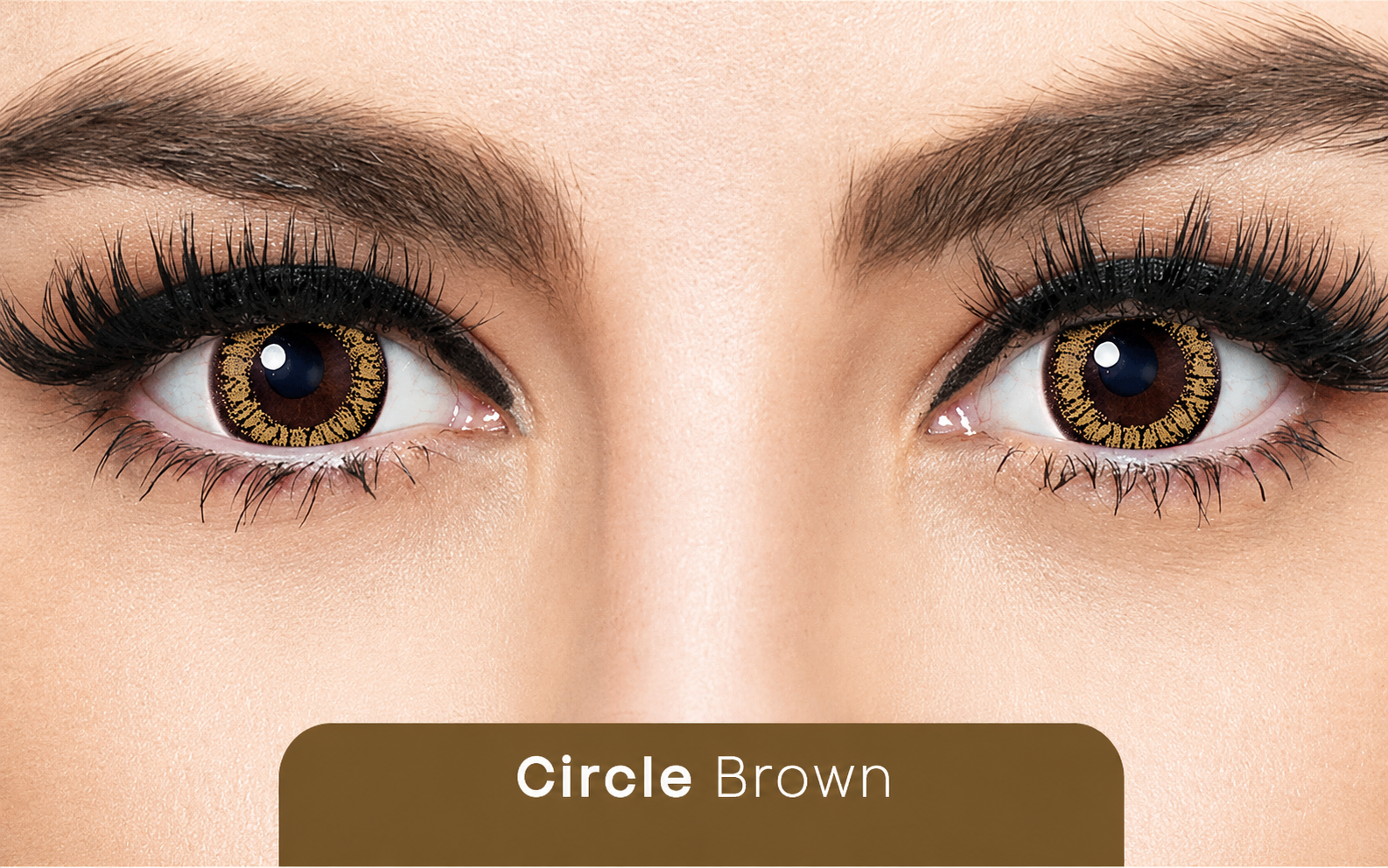 Bausch + Lomb Lacelle Circle Colour Monthly Contact Lens – Brown Single Lens Pack