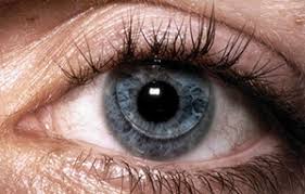 Rigid Gas Permeable Lenses (RGP Lens or GP Contact Lens) Contact Lens | 1 Hard Lens